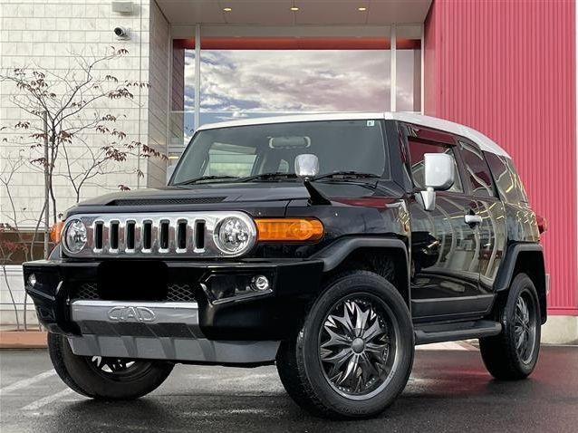 2011 Toyota FJ Curiser