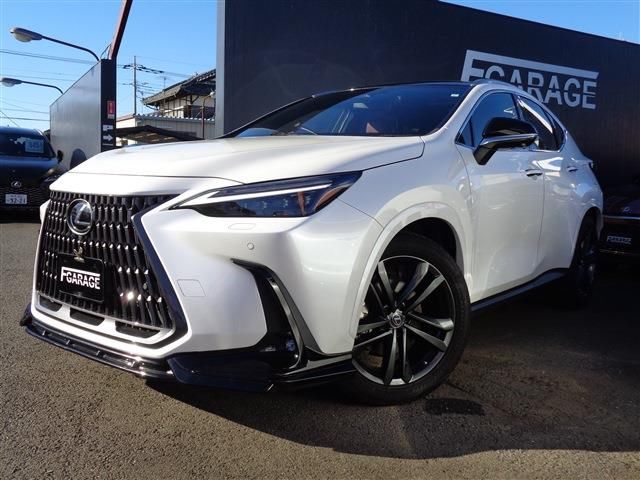 Lexus NX 250 verL