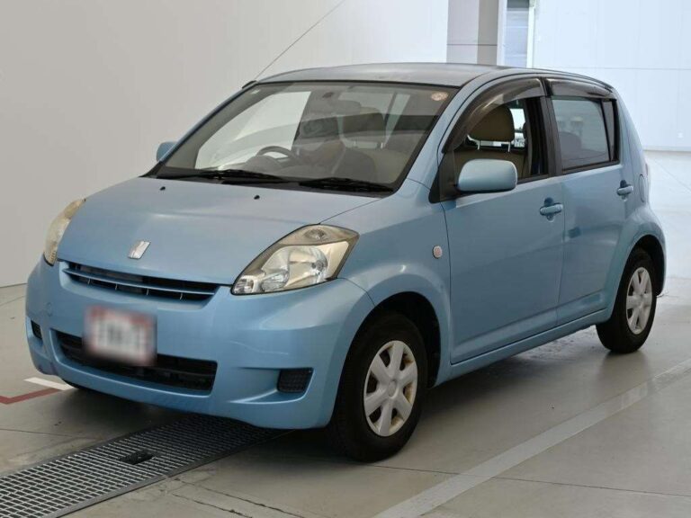 Toyota Passo X Irodori